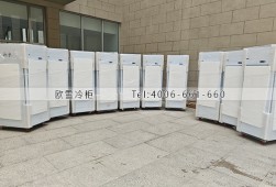 冰柜-北京化學(xué)品單門不銹鋼冰柜選購